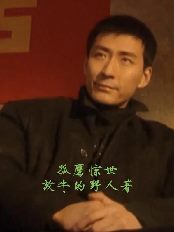 孤鹰 txt