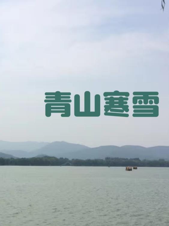 青山雪儿