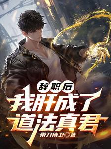 辞职后我爆红全宇宙快穿免费阅读