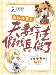 夫妻节目视频