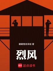 烈风自行车官网