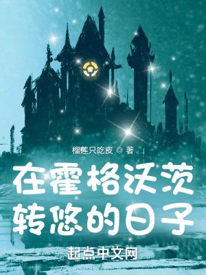 在霍格沃茨转悠的日子txt