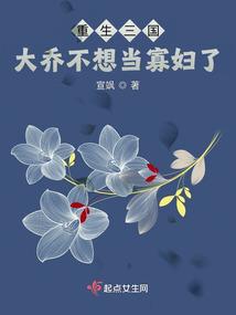 三国之大乔