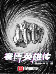 赛博英雄传 百科