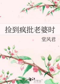 捡个疯女人的