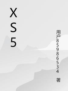 Xs512发售价