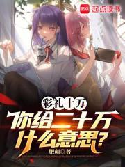 你给二十万什么意思?顶点