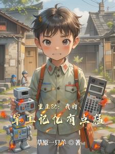 重生80军妻