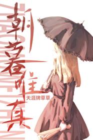 朝暮唯真免费全文阅读
