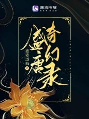 盛唐奇案怎么玩