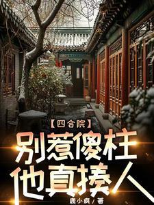 四合院傻柱打遍天下无敌手