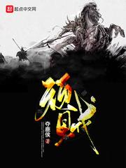 顽贼零点