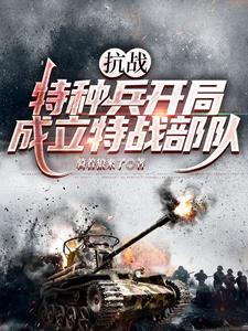 特种兵抗战系统