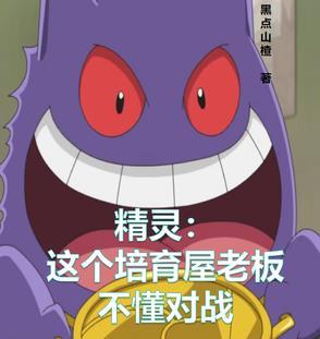 精灵这个培育屋老板不懂对战