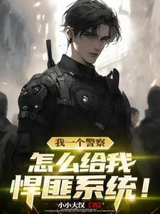 悍匪系列