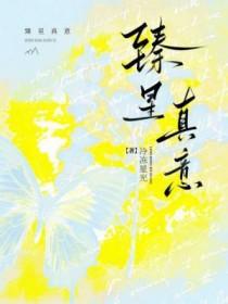 臻意护肤造型spa怎么样