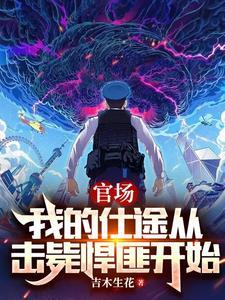 我的官场情场