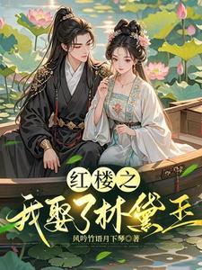 穿越红楼梦娶黛玉的