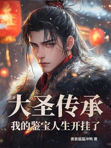 大圣传无弹窗无广告阅读