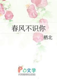 春风不识路此身在何处