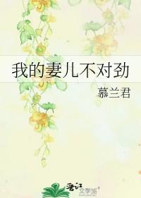 我的妻儿不对劲讲的什么