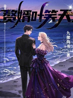 赘婿叶风