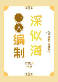 一入编制深似海竹岚月TXT