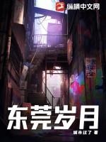 东莞岁月原著