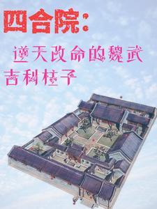 四合院之从迎娶娄晓娥开始的日常无删减版