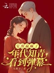 年代知青系列文