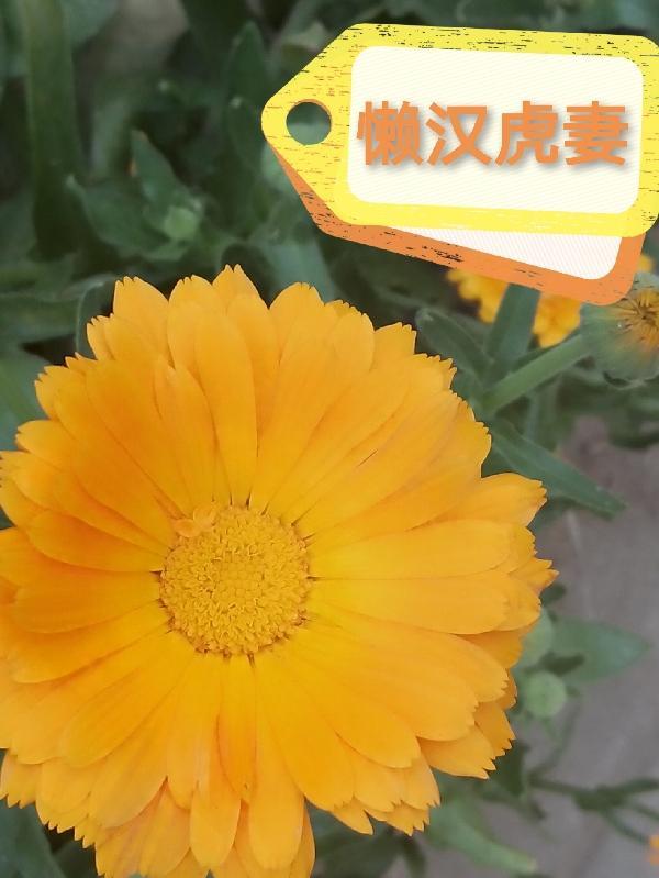 懒汉会有什么下场