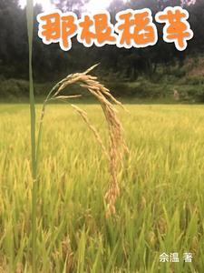 一根稻草的意思是什么