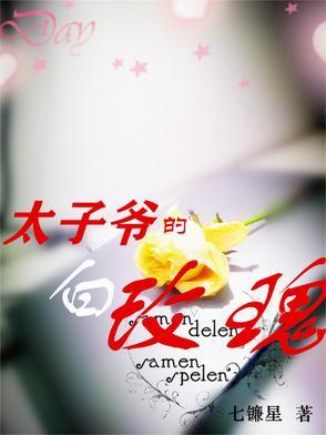 太子爷的爱情调查报告--作者白衣慕卿相