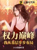 权力巅峰书