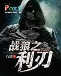 战狼2之国家利刃