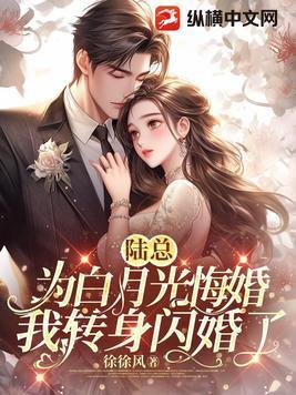 陆总追妻路漫漫免费阅读