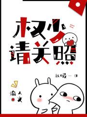 权少请关照txt书包网