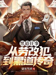 黑道往事之二十年电视剧