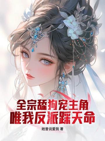 汴京上元局开播时间