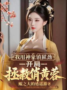 大明我只想做一个小县令啊 列表