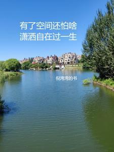 我在七零养崽崽苏灿