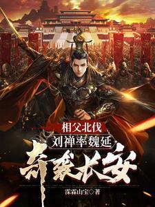 圣手医少
