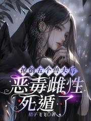 我的仕途免费阅读
