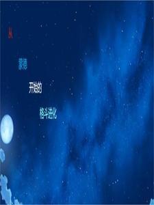 规则桎梏
