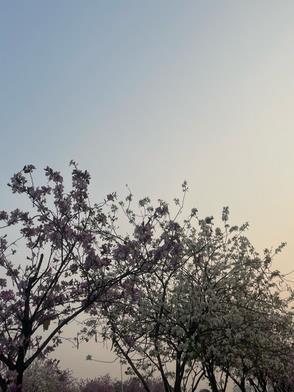 师父和灵溪