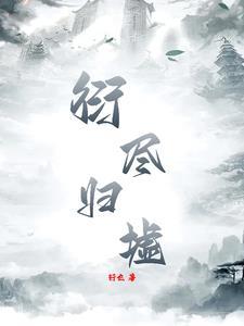牧场物语矿石镇的伙伴们